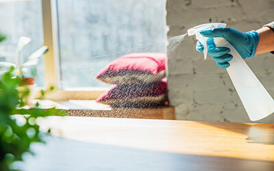 How to Prepare Your Home for Pest Control