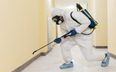 24 Hour Pest Control