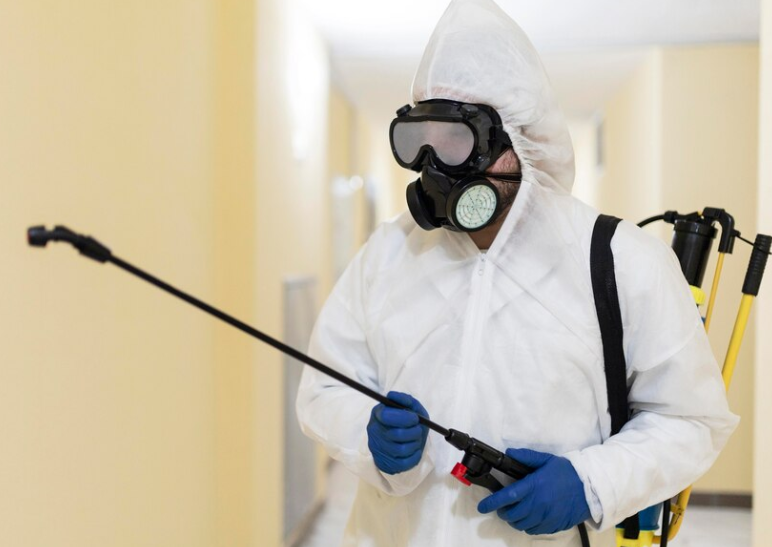 Organic Pest Control Las Vegas