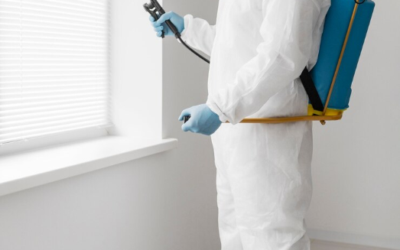 Where Does Pest Control Spray in Apartments