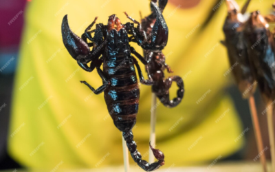 Best Scorpion Killer