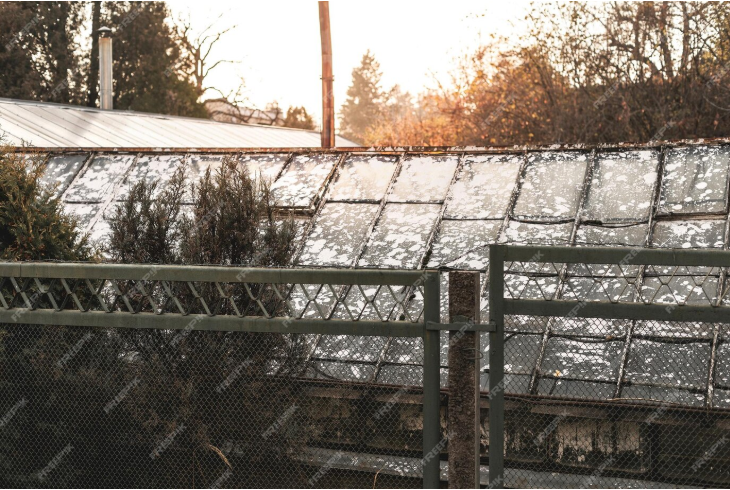 solar panel bird proofing
